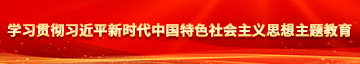 女人被大鸡巴操学习贯彻习近平新时代中国特色社会主义思想主题教育